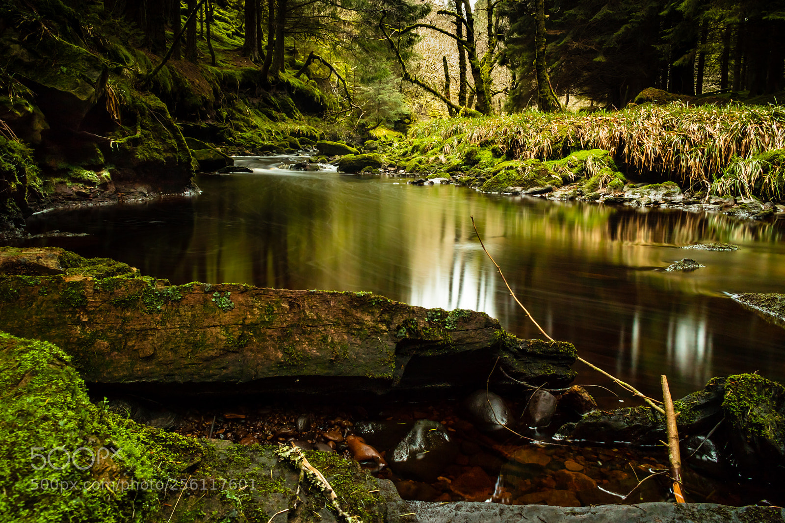 Canon EOS 750D (EOS Rebel T6i / EOS Kiss X8i) sample photo. Stream of tranquility photography