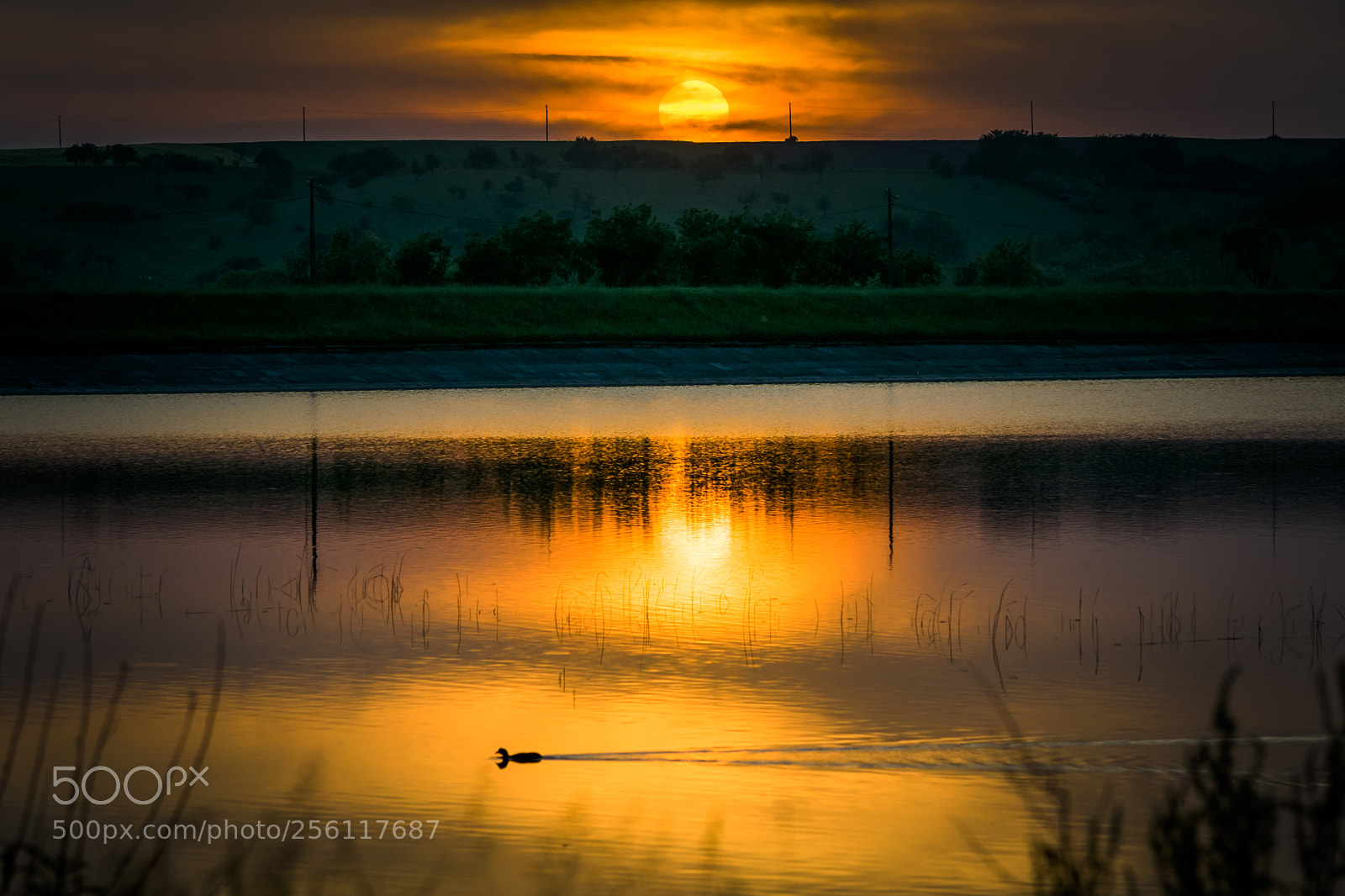 Nikon D5300 sample photo. Sunset on the lake photography
