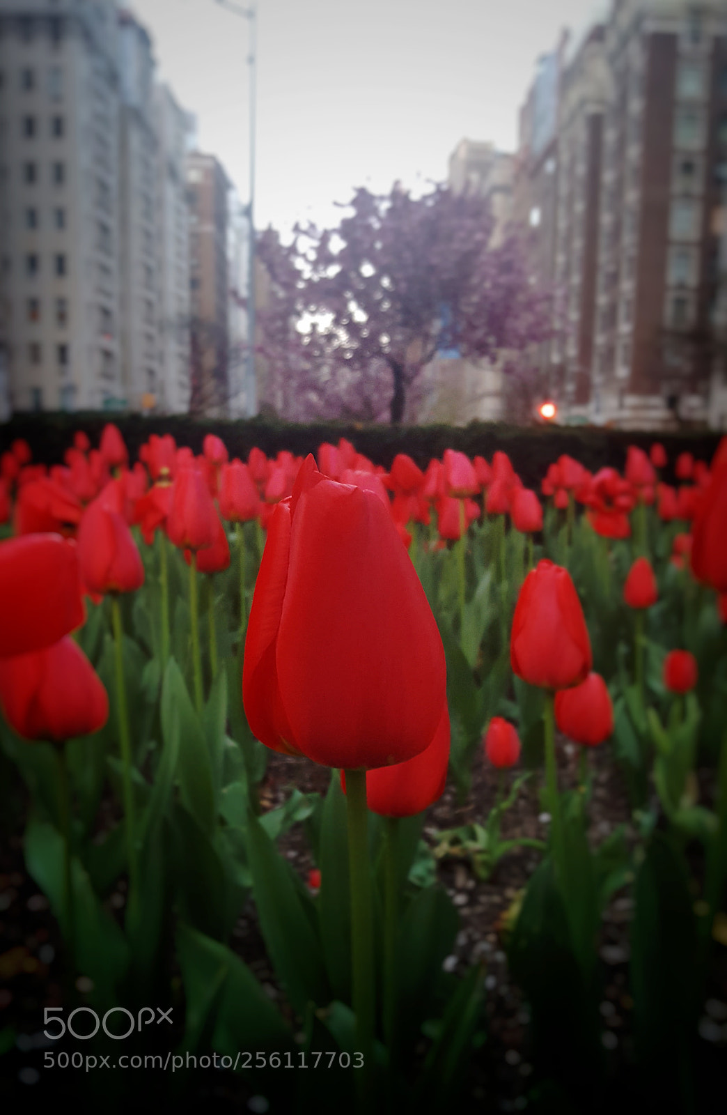 Samsung Galaxy S6 sample photo. Untitled photography