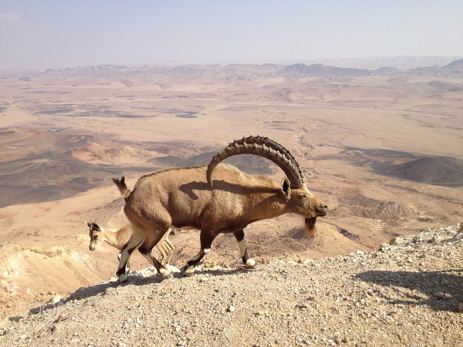Apple iPhone 4S sample photo. Negev desert photography