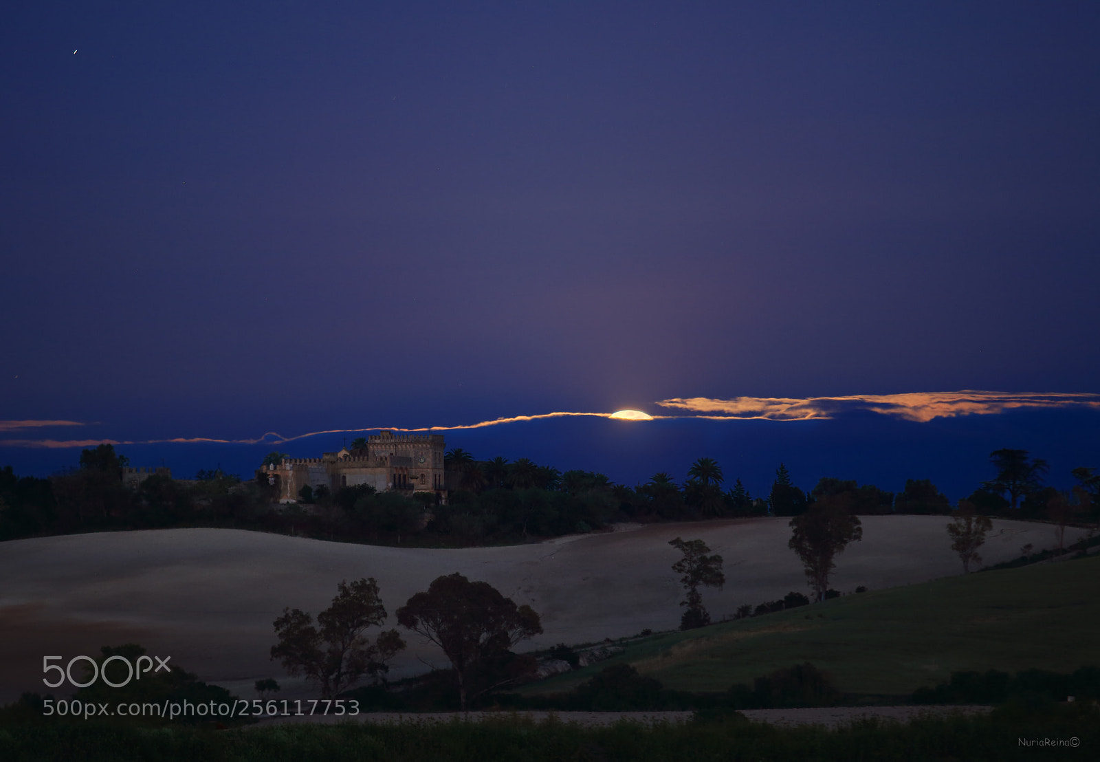 Canon EOS 70D sample photo. When the moon wakes photography