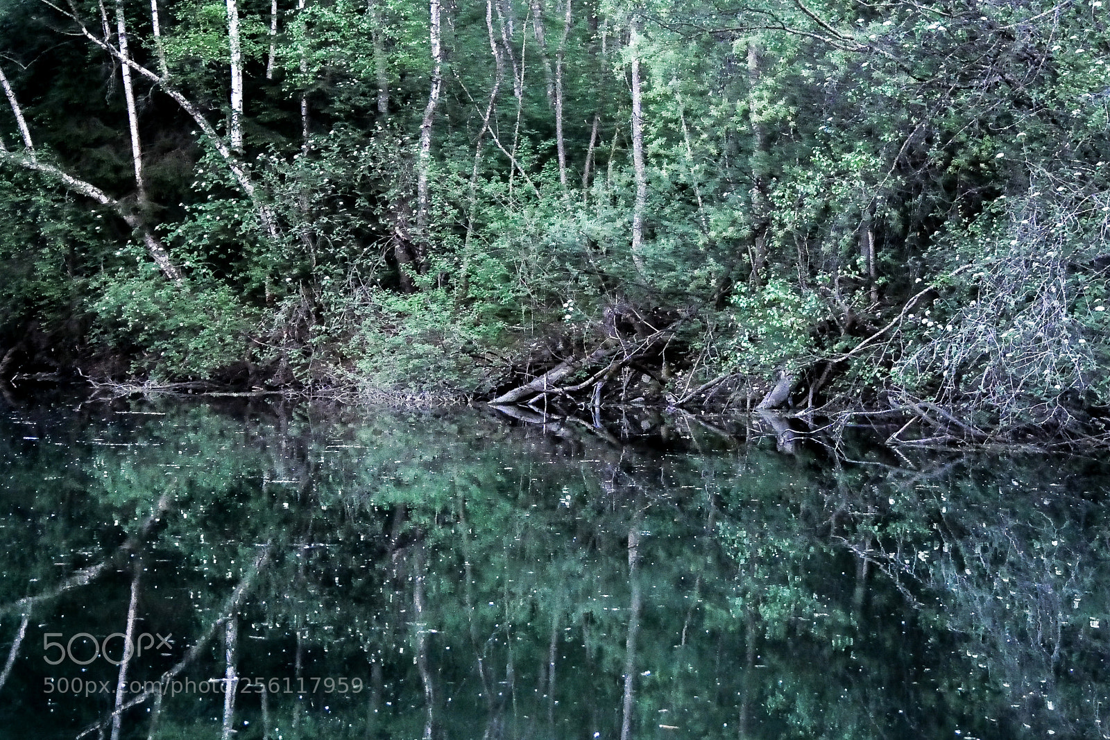 Panasonic DMC-G70 sample photo. Dawn on the pond photography
