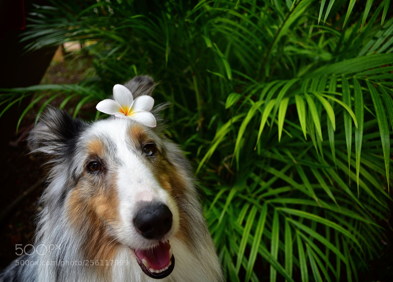Nikon D5500 sample photo. 18 photography