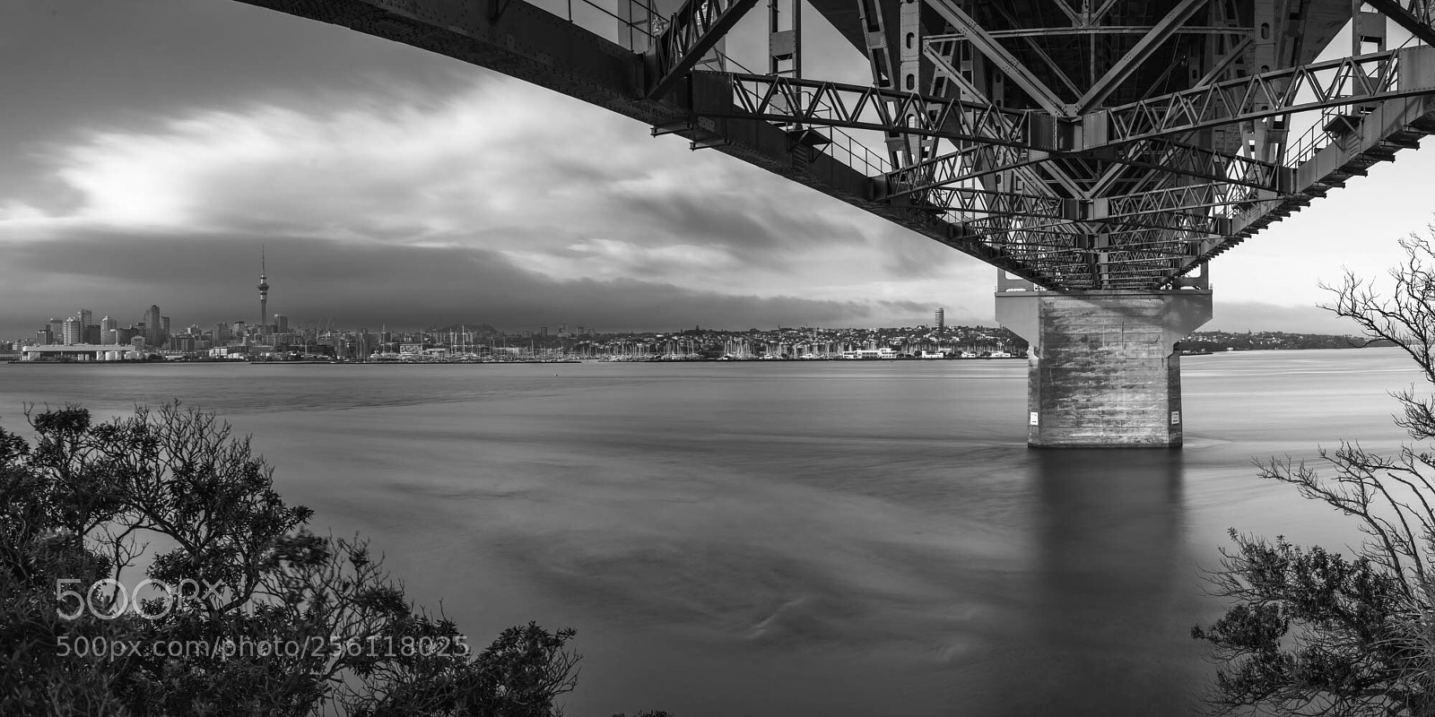 Hasselblad X1D-50c sample photo. Auckland city from stokes photography
