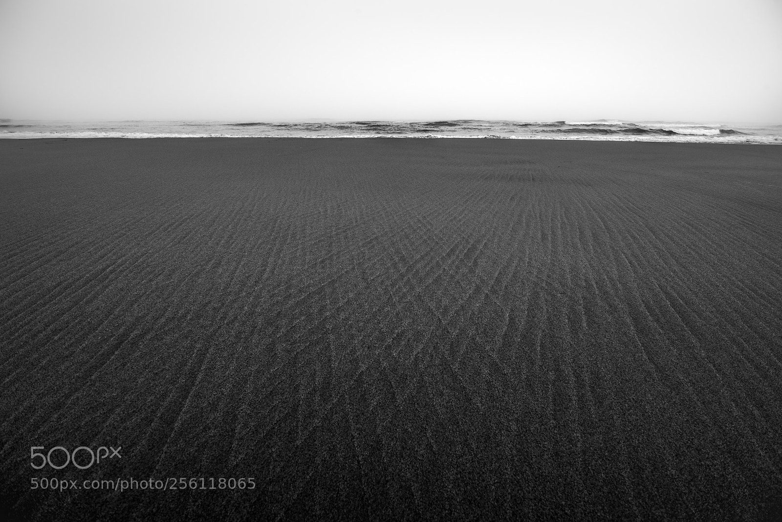 Nikon D610 sample photo. To the horizon ... photography