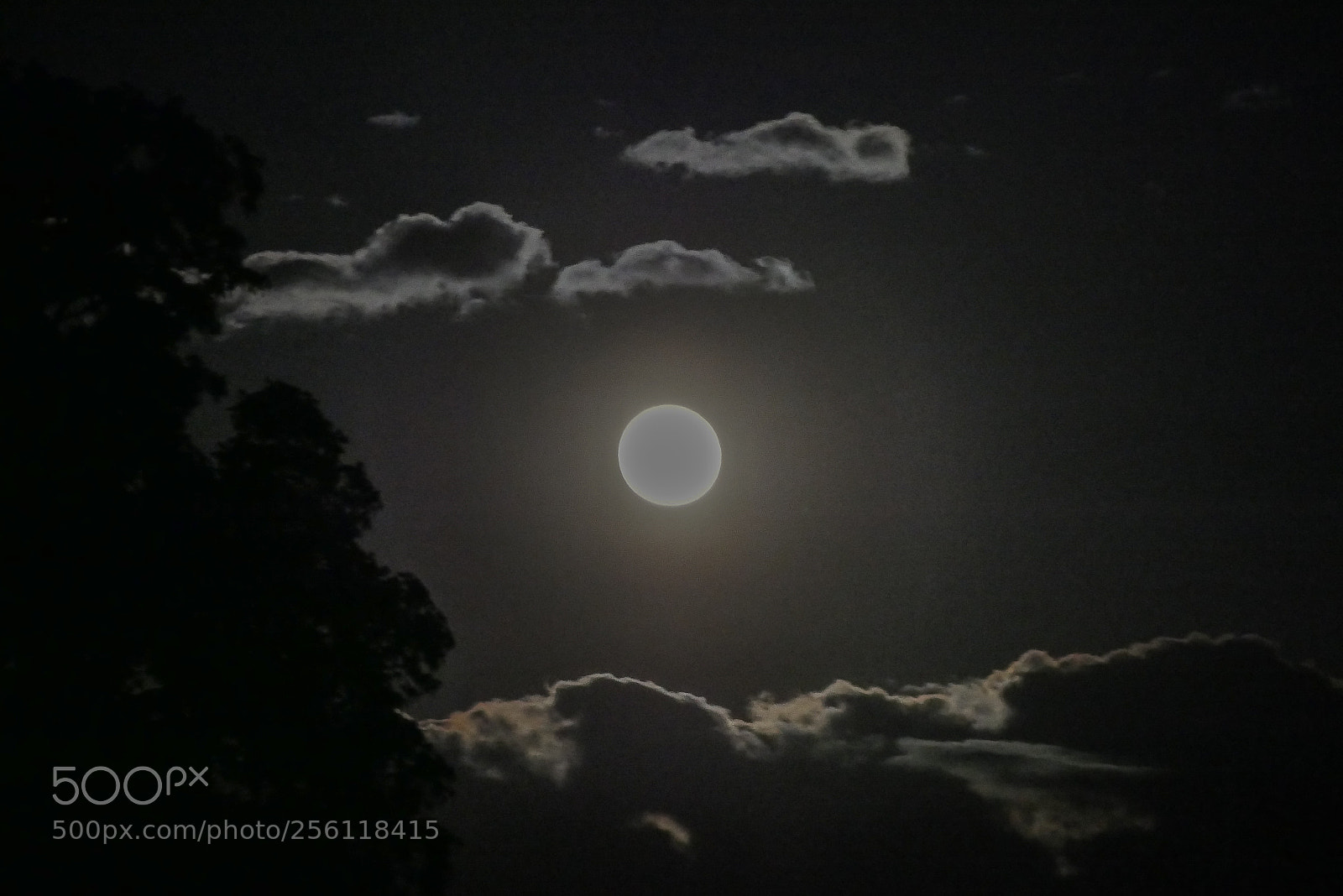 Panasonic DMC-G70 sample photo. Full moon photography