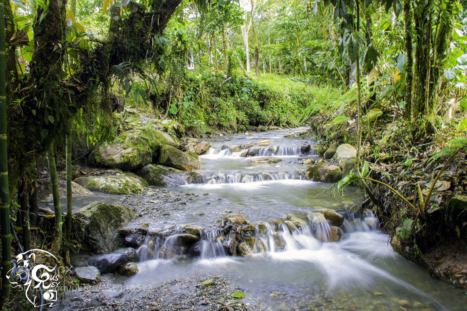 Canon EOS 7D Mark II sample photo. Puyo-ecuador photography