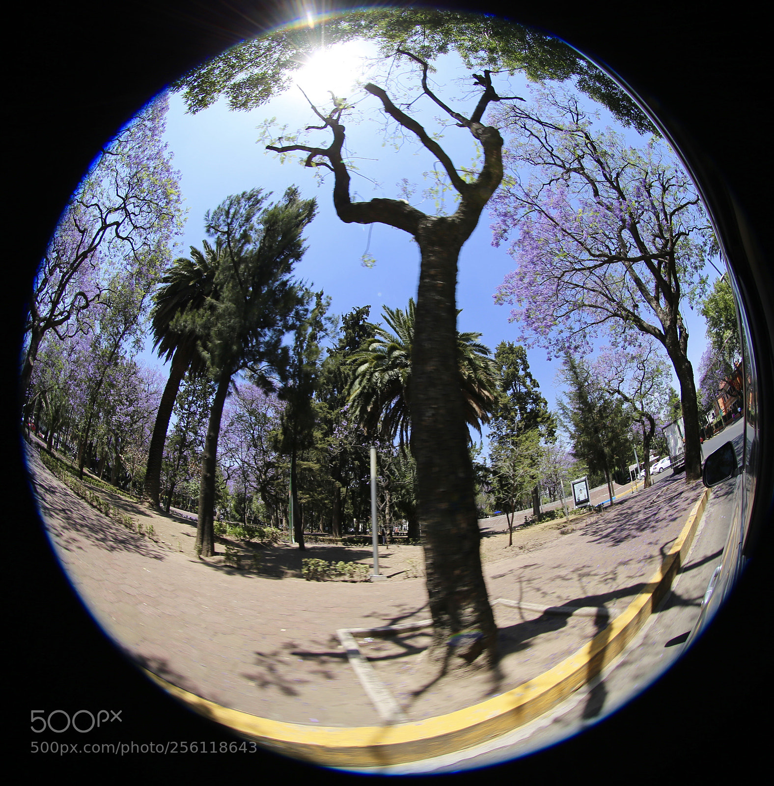 Canon EOS 6D sample photo. Un d a muy photography