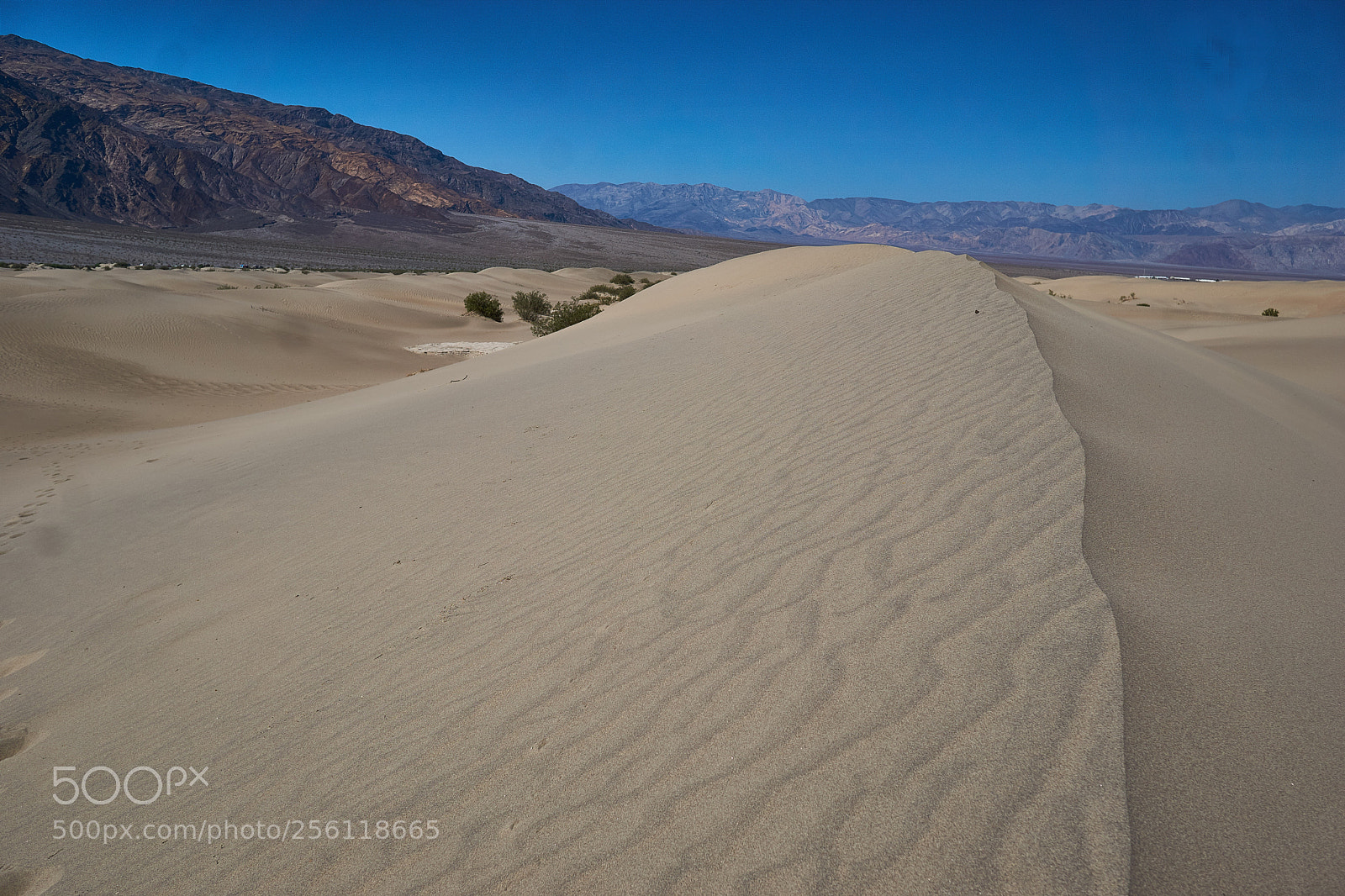 Sony a6000 sample photo. Death valley dunes photography