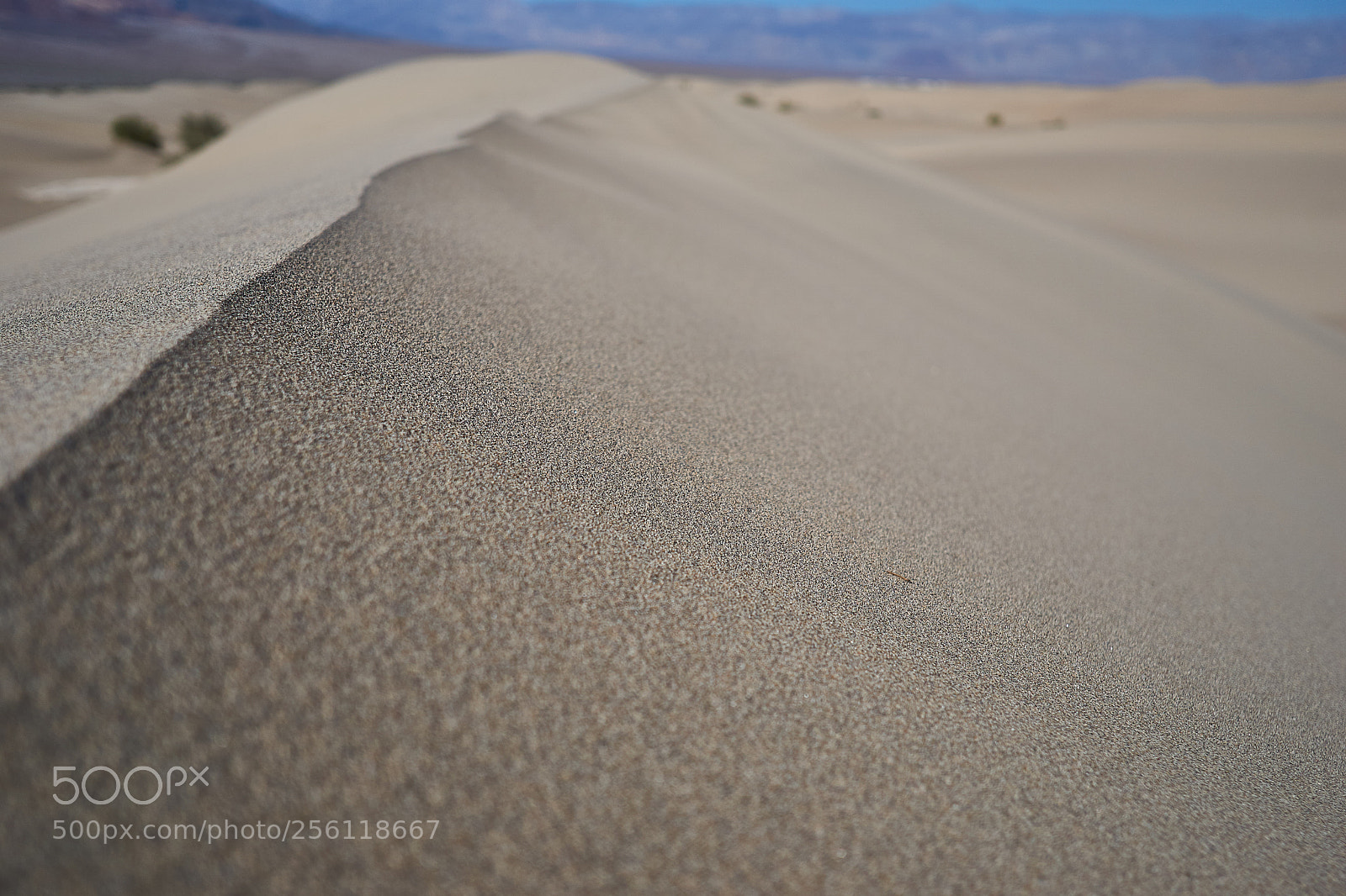 Sony a6000 sample photo. Death valley dunes photography