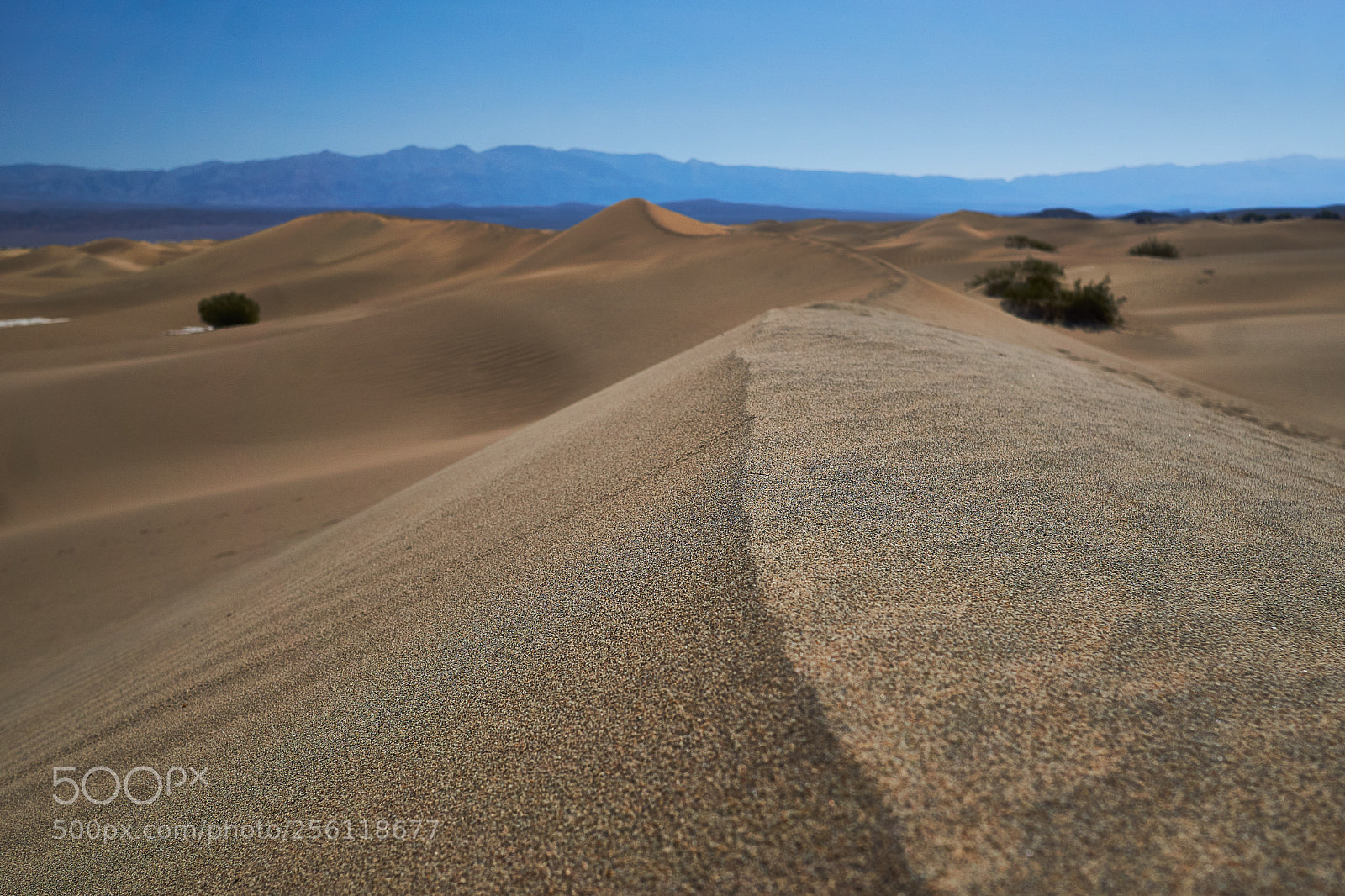 Sony a6000 sample photo. Death valley dunes photography