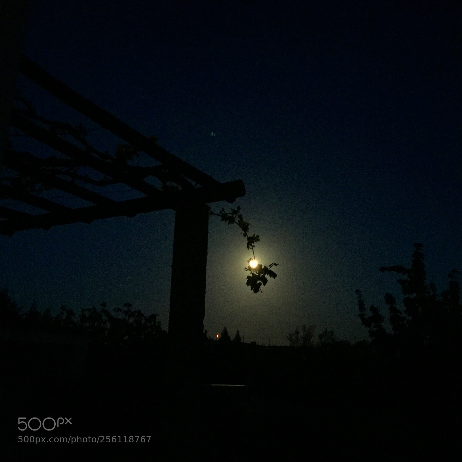 Apple iPhone 6 sample photo. Moonlight  photography