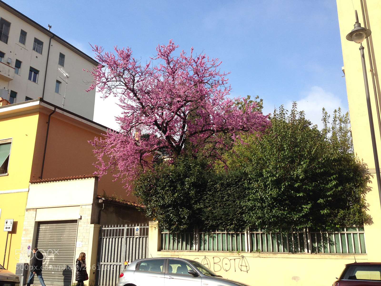 Apple iPhone 5 sample photo. Img photography