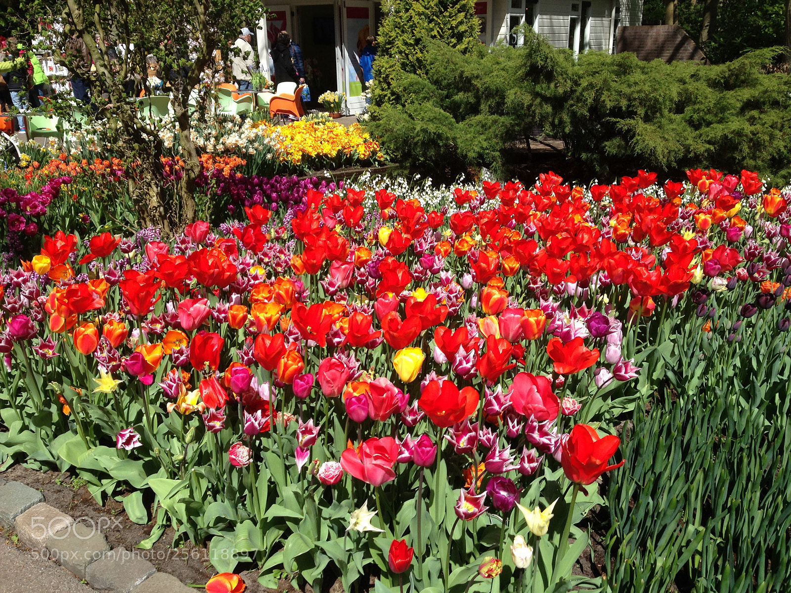 Apple iPhone 5 sample photo. Img photography