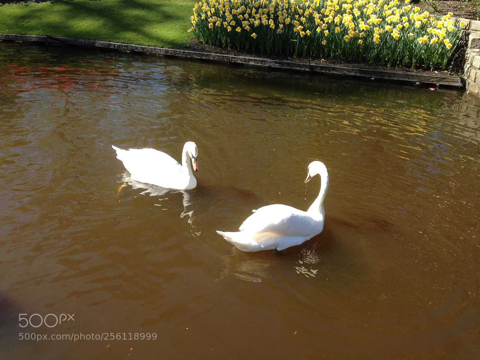 Apple iPhone 5 sample photo. Img photography