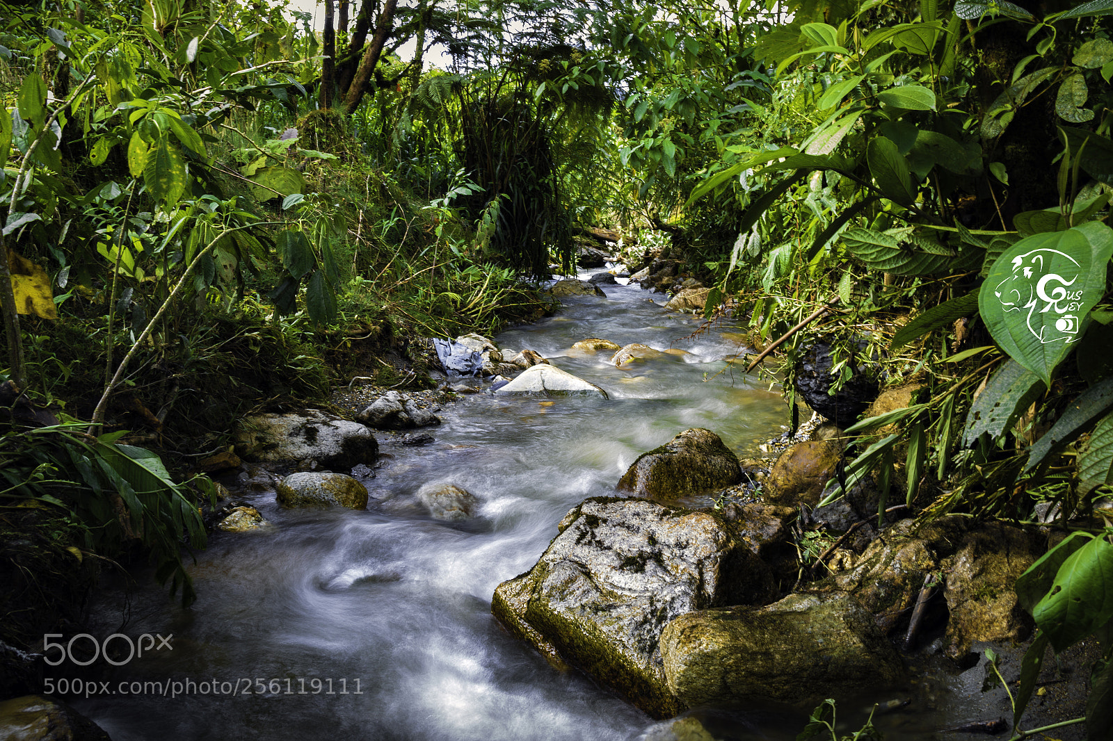 Canon EOS 7D Mark II sample photo. Puyo - ecuador 180302 photography