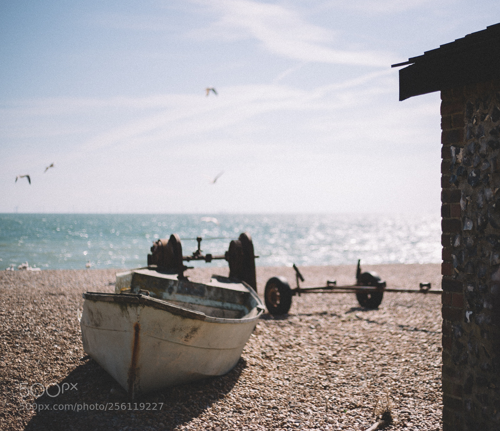 Canon EOS 6D sample photo. Brighton boat by the photography