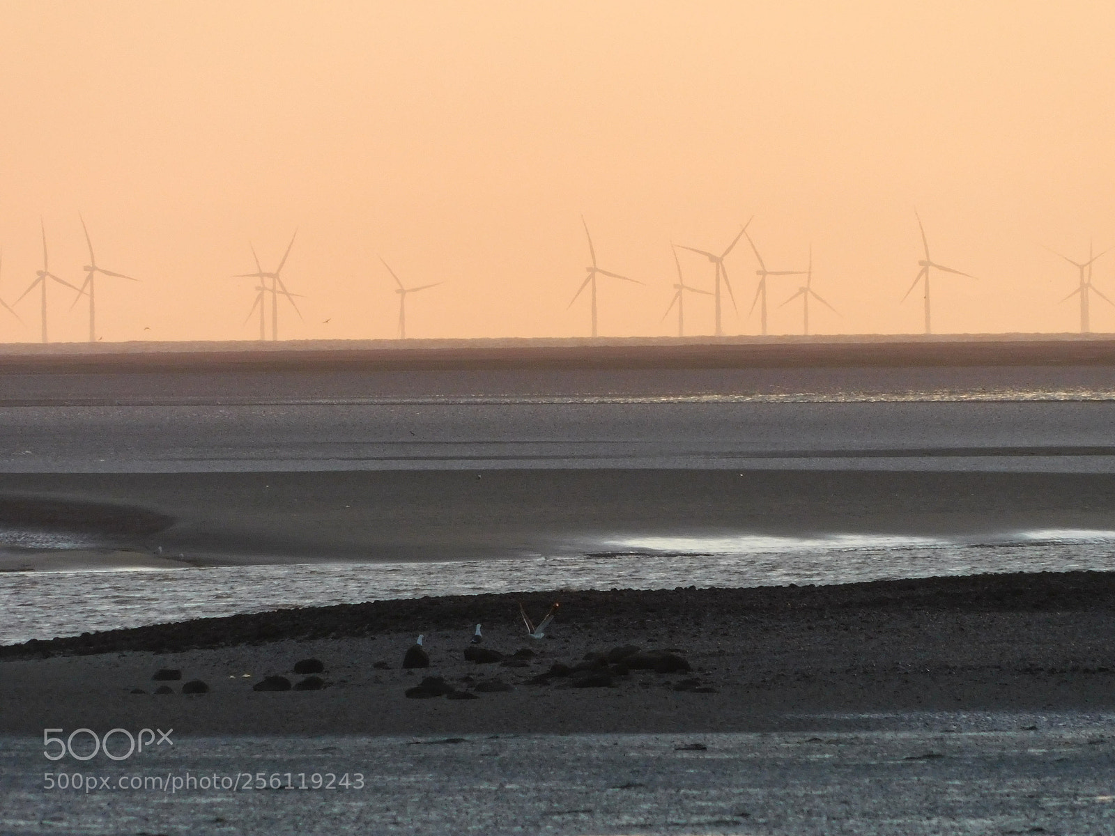 Nikon Coolpix B500 sample photo. Knott end-on-sea, poulton-le-fylde photography