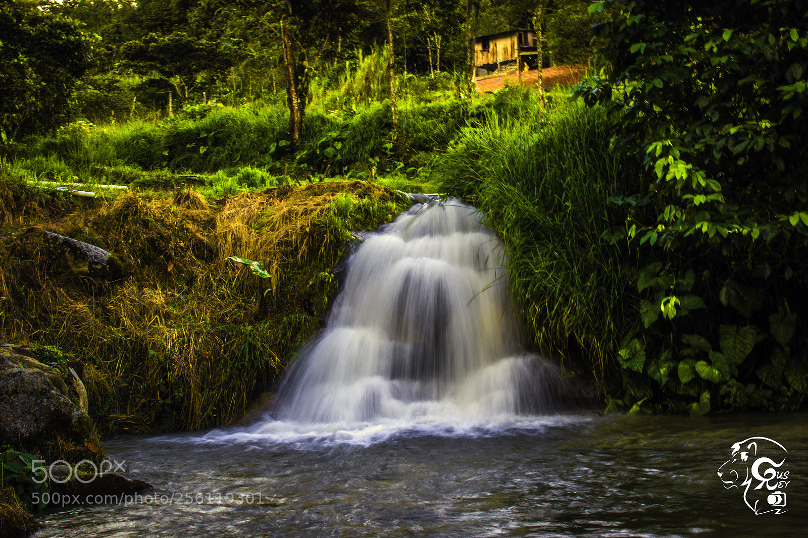 Canon EOS 7D Mark II sample photo. Puyo -ecuador  180302 photography