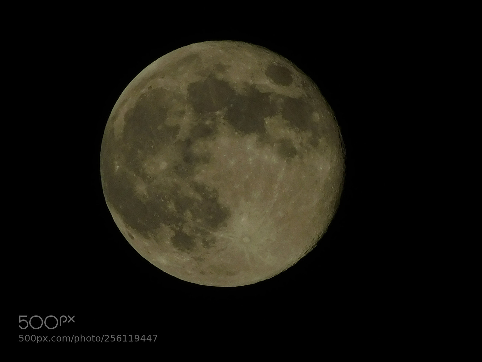 Nikon Coolpix B500 sample photo. Full moon photography