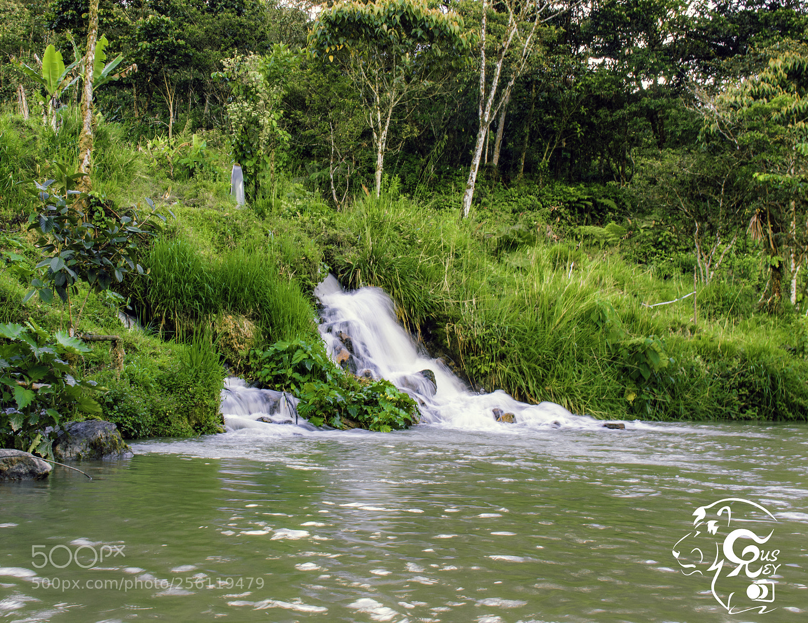 Canon EOS 7D Mark II sample photo. Puyo - ecuador 180302 photography