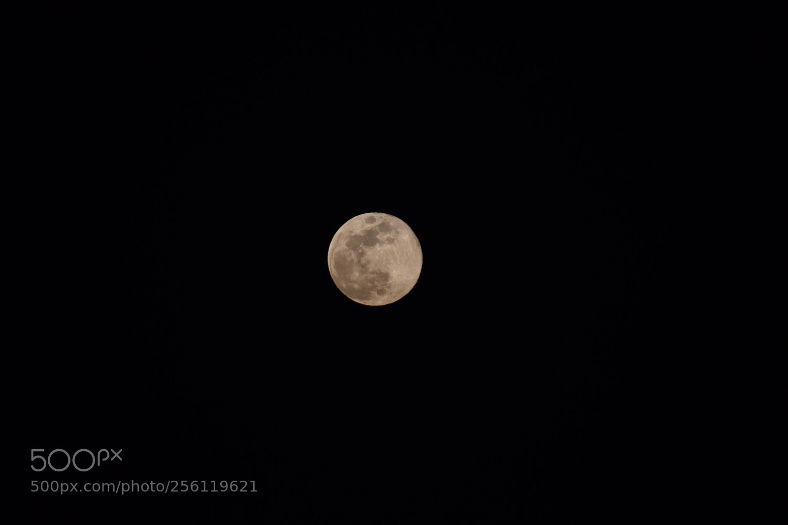 Nikon D750 sample photo. Full moon photography