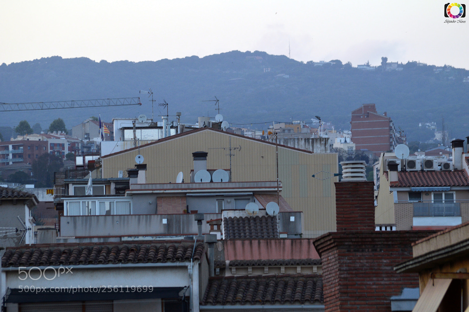 Nikon D3200 sample photo. Dsc photography