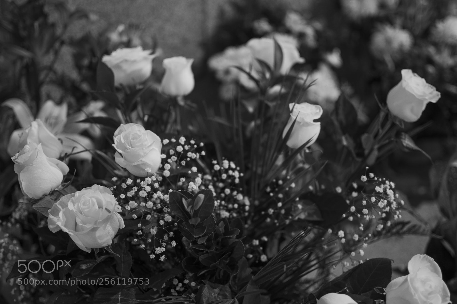 Nikon D3300 sample photo. Untitled photography