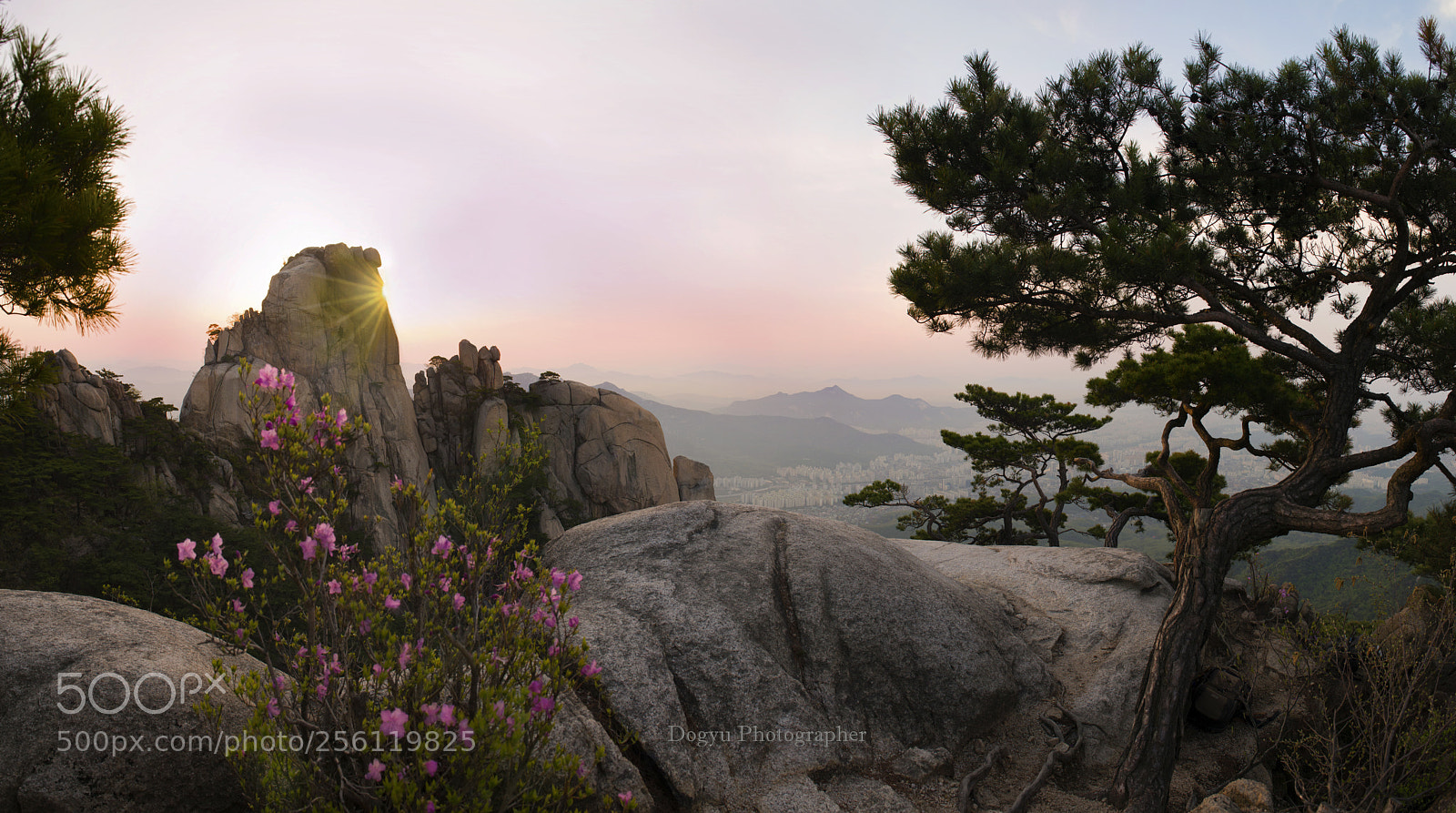Nikon D800E sample photo. Spring on the mountin2 photography