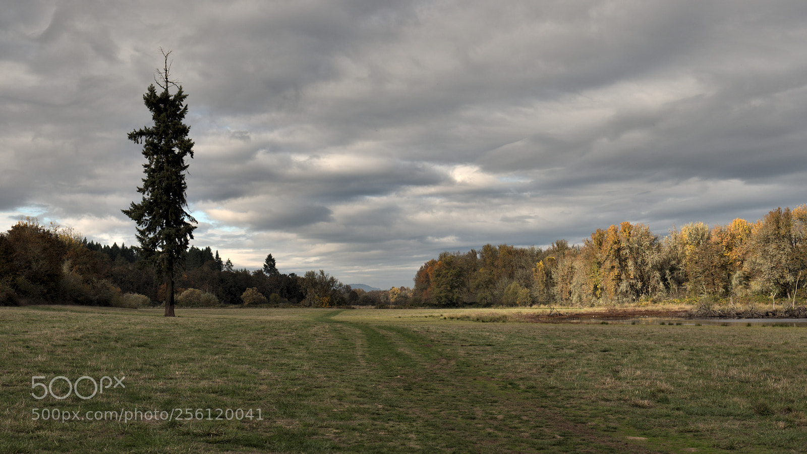Fujifilm X-E2S sample photo. Finley nwr, oregon photography
