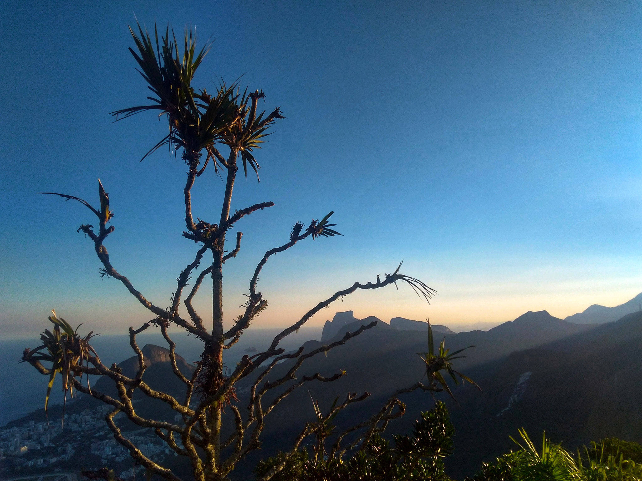 Motorola Moto G Play sample photo. Detalhe de paisagen photography