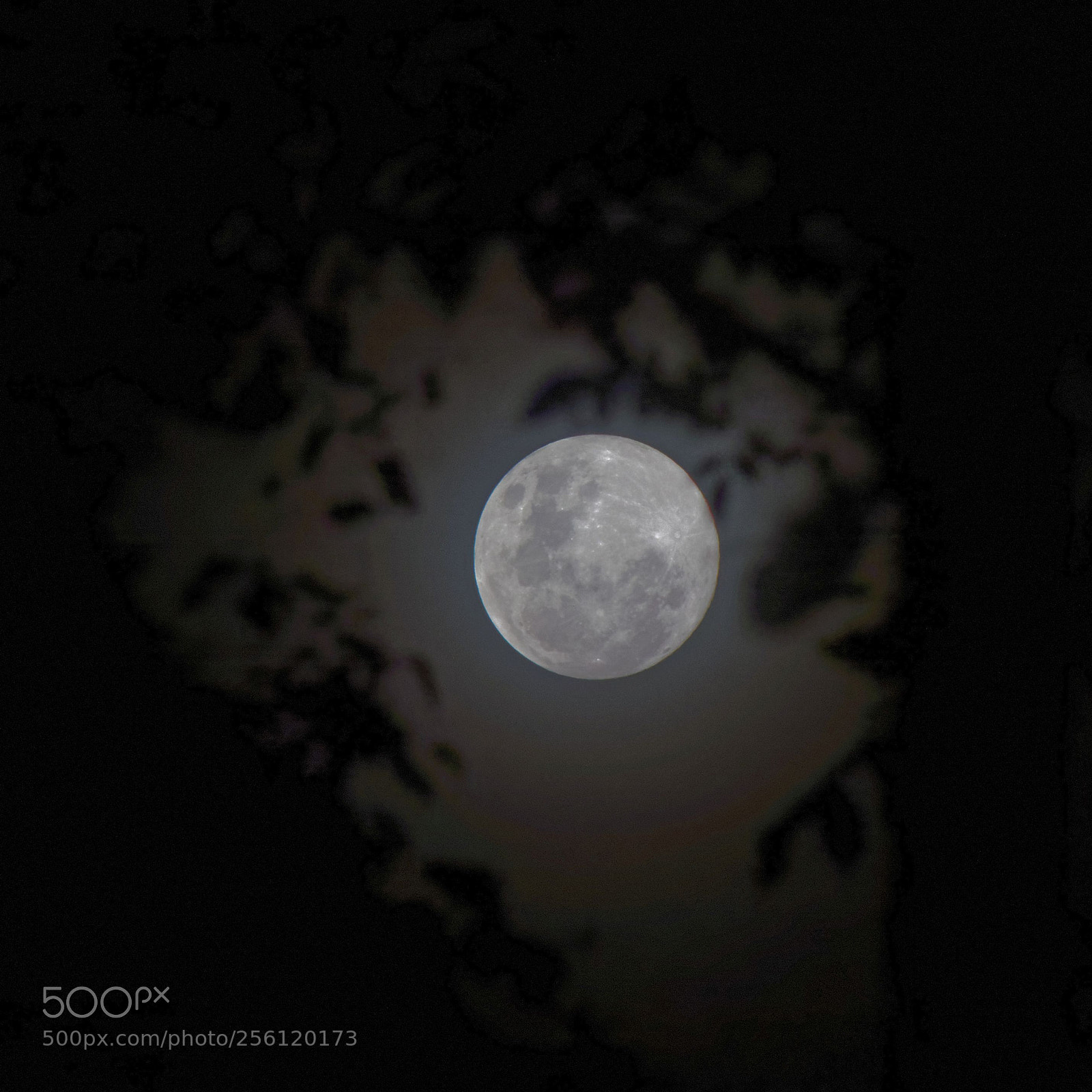 Panasonic Lumix DMC-FZ200 sample photo. Framed moon photography
