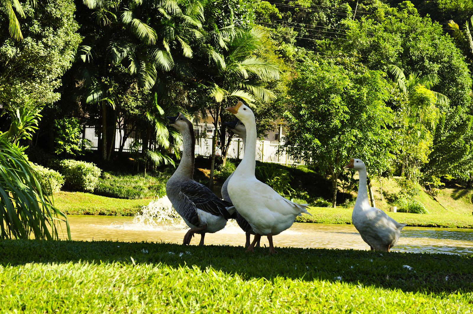 Nikon D5000 sample photo. Dsccidade pontos photography