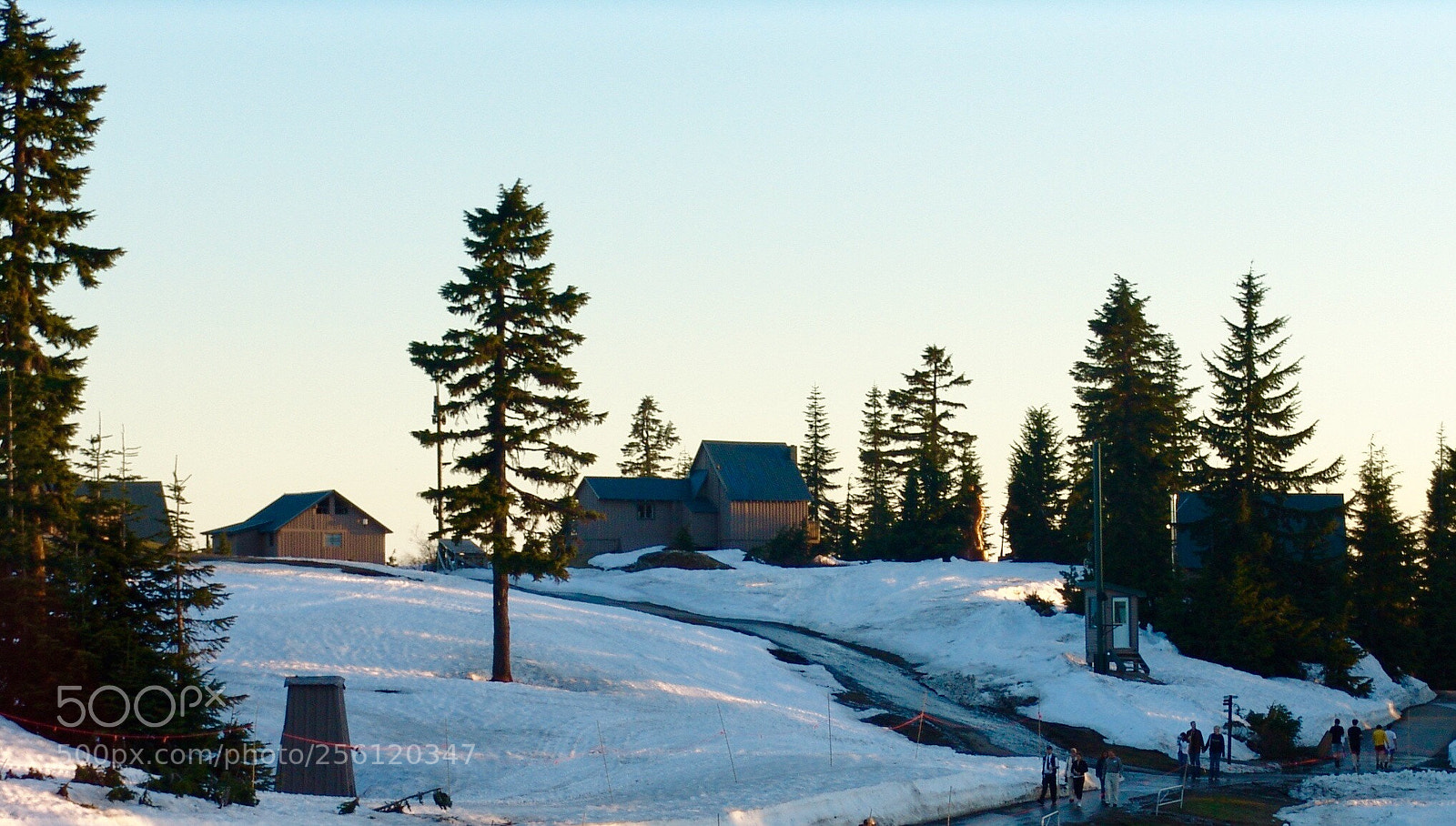 Sony DSC-F828 sample photo. Grouse mountain  photography