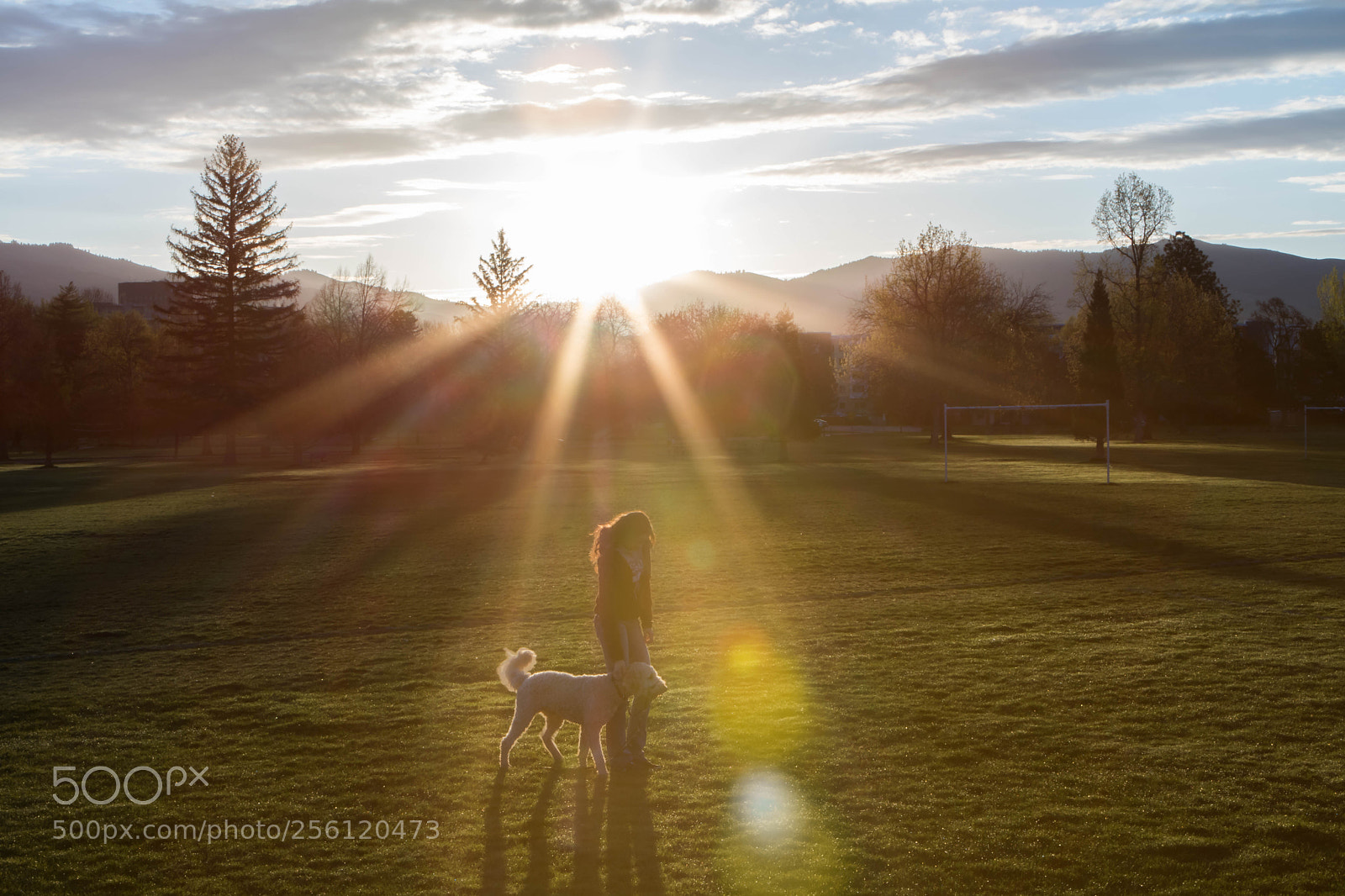 Canon EOS 750D (EOS Rebel T6i / EOS Kiss X8i) sample photo. Dog walker photography