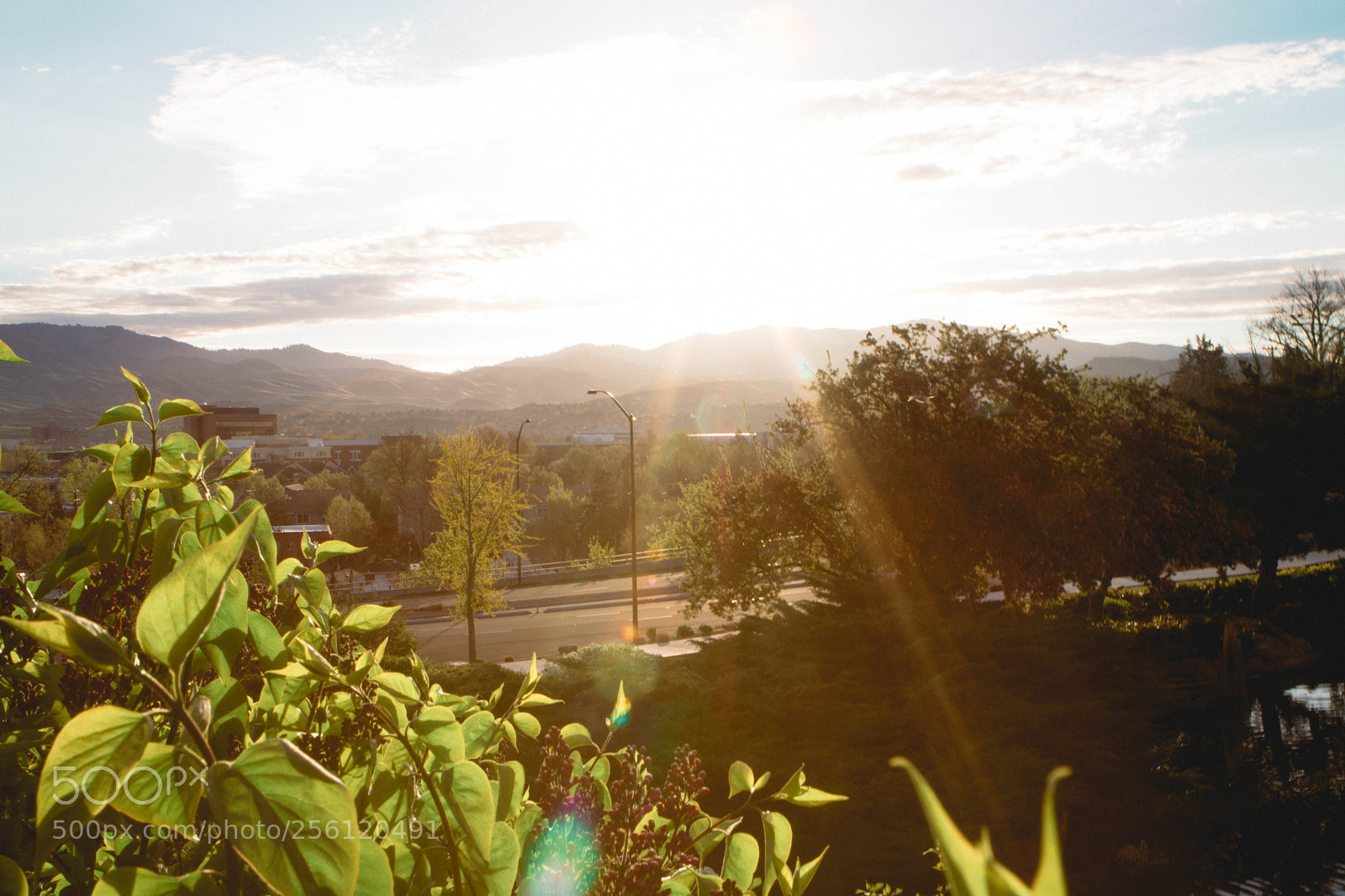 Canon EOS 750D (EOS Rebel T6i / EOS Kiss X8i) sample photo. Sunshine & limbs photography