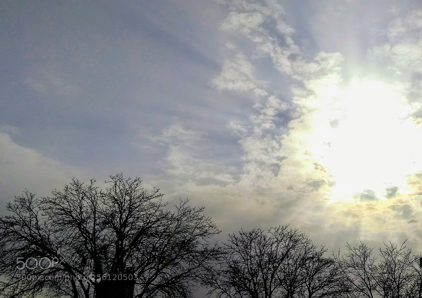 Motorola Moto G (5S) Plus sample photo. Untitled photography