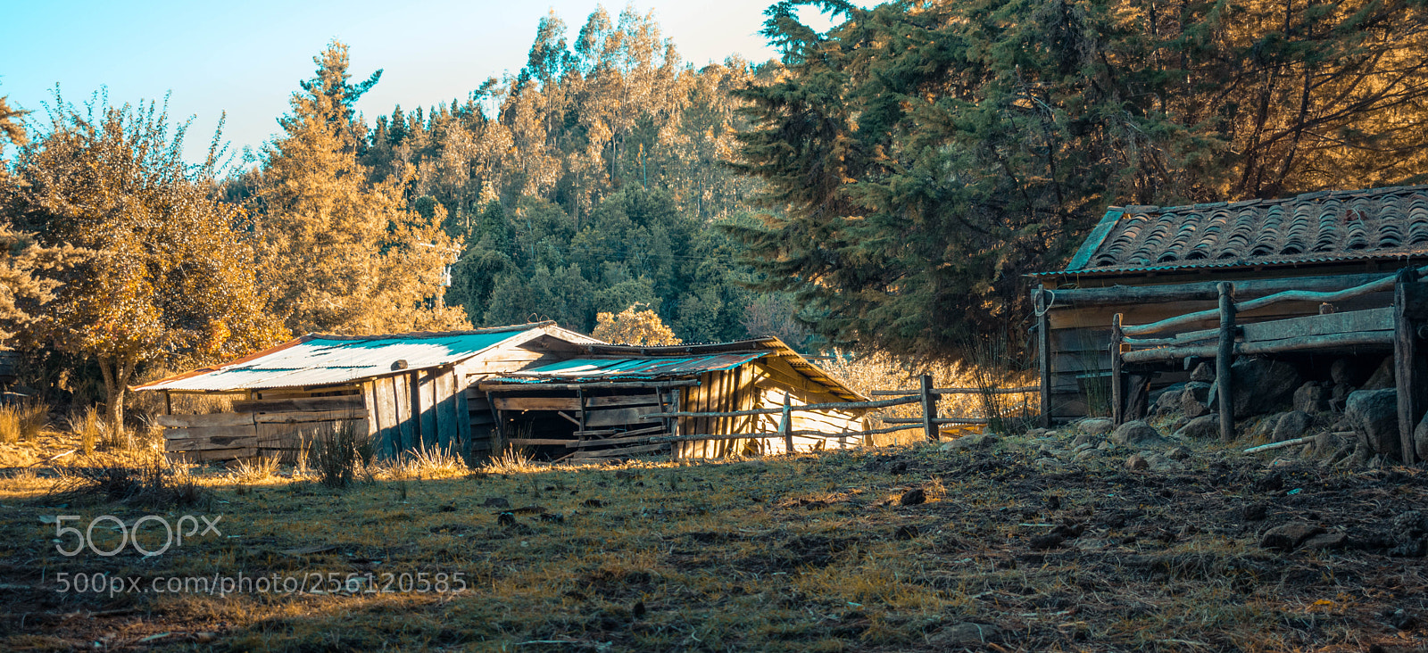 Nikon D3400 sample photo. Camp photography