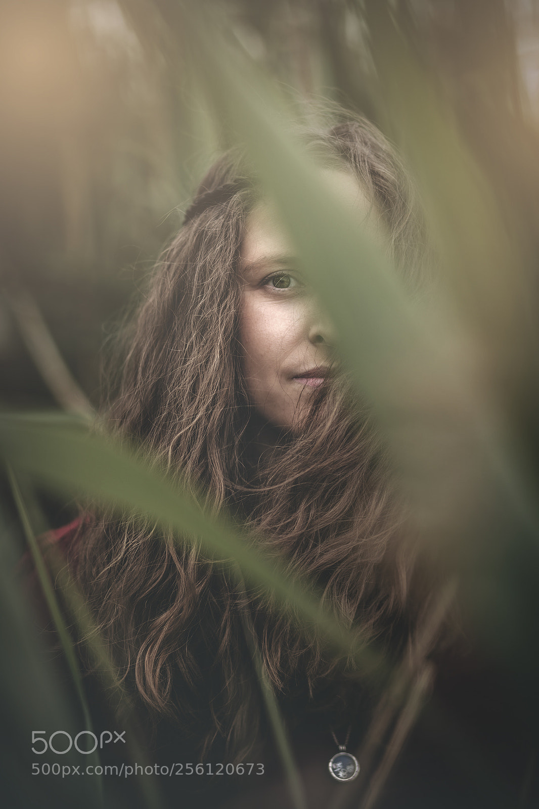 Canon EOS 6D sample photo. Alba photography