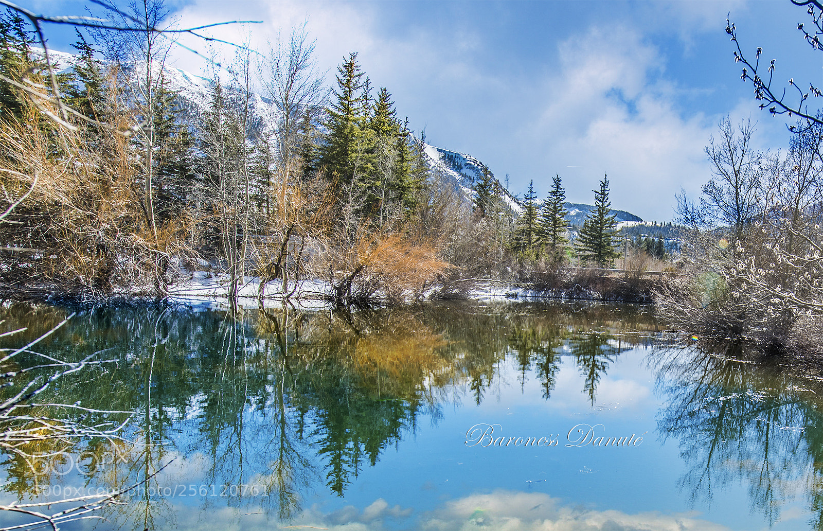 Nikon D810 sample photo. Spring is here photography