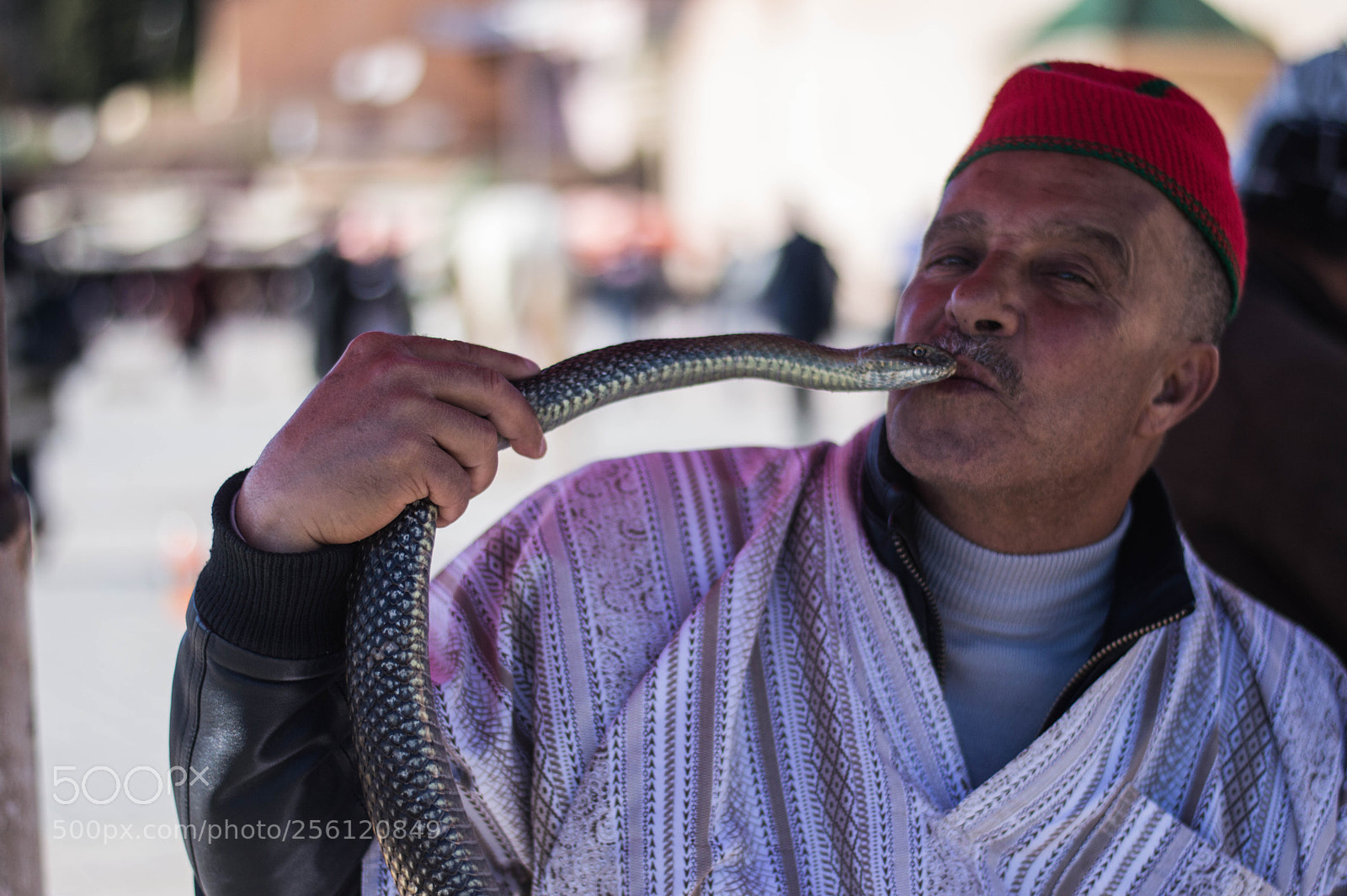 Nikon D3200 sample photo. Snakeman photography