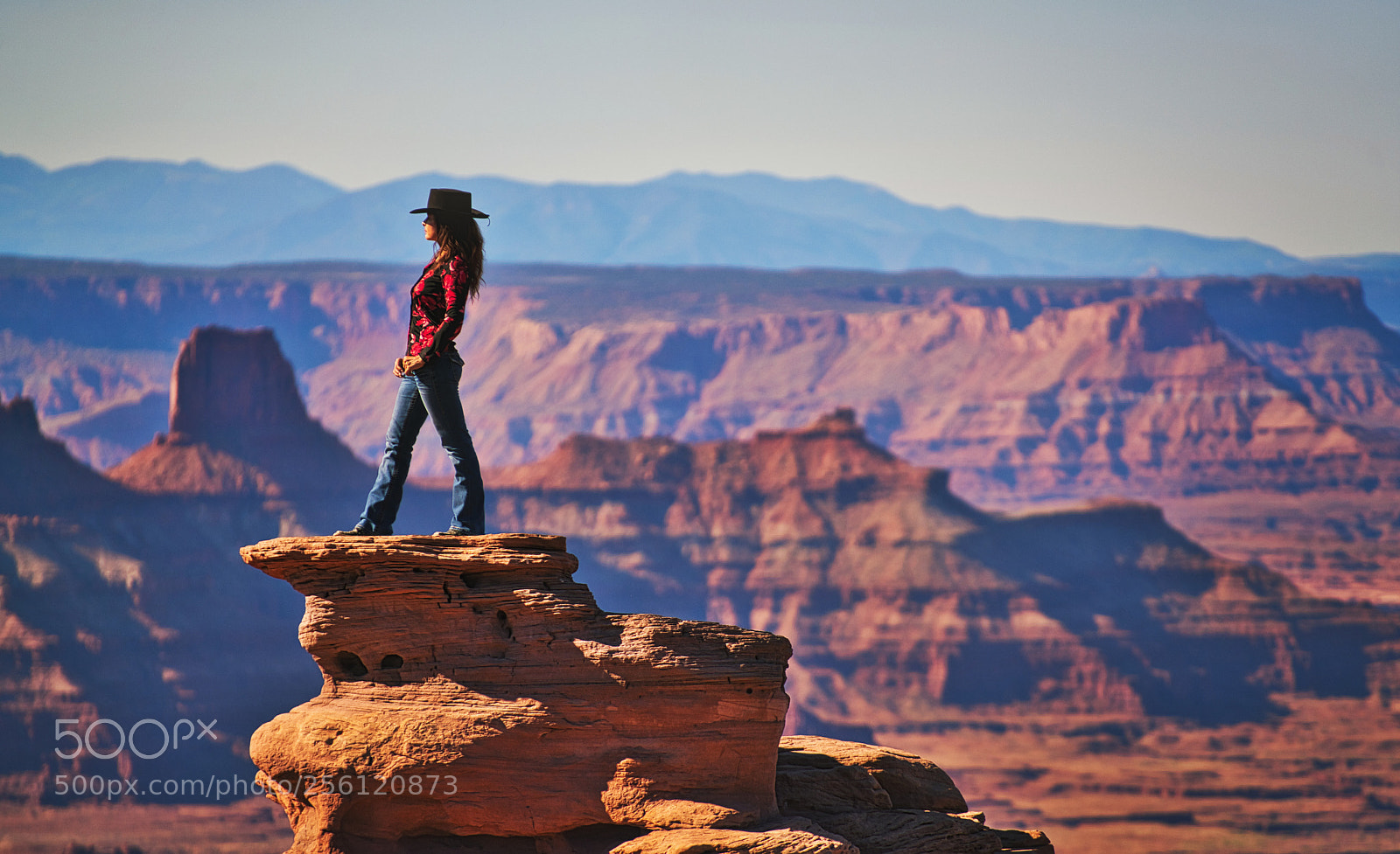 Sony a7R II sample photo. "untamed" photography