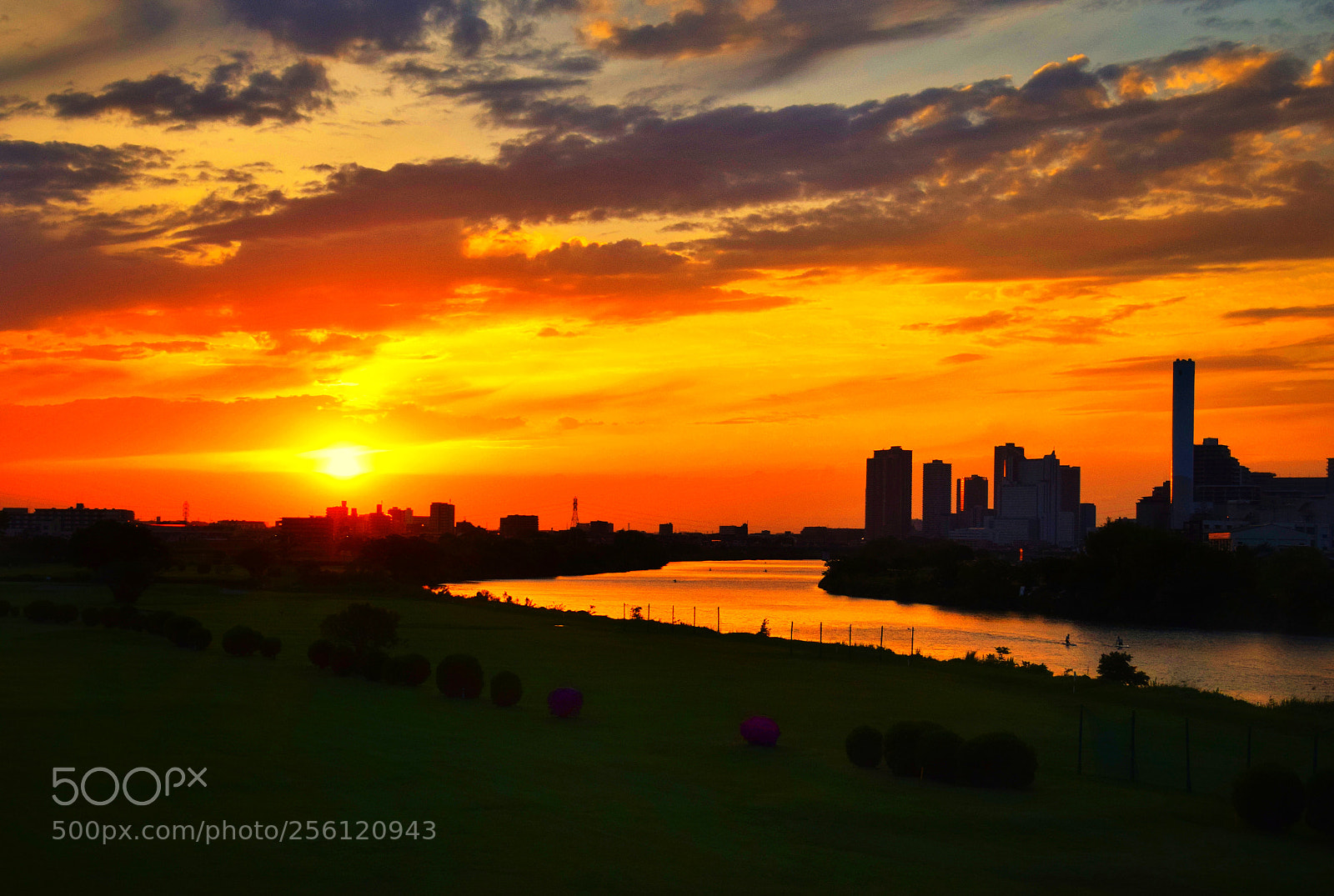 Nikon D3300 sample photo. Sunset tama river photography
