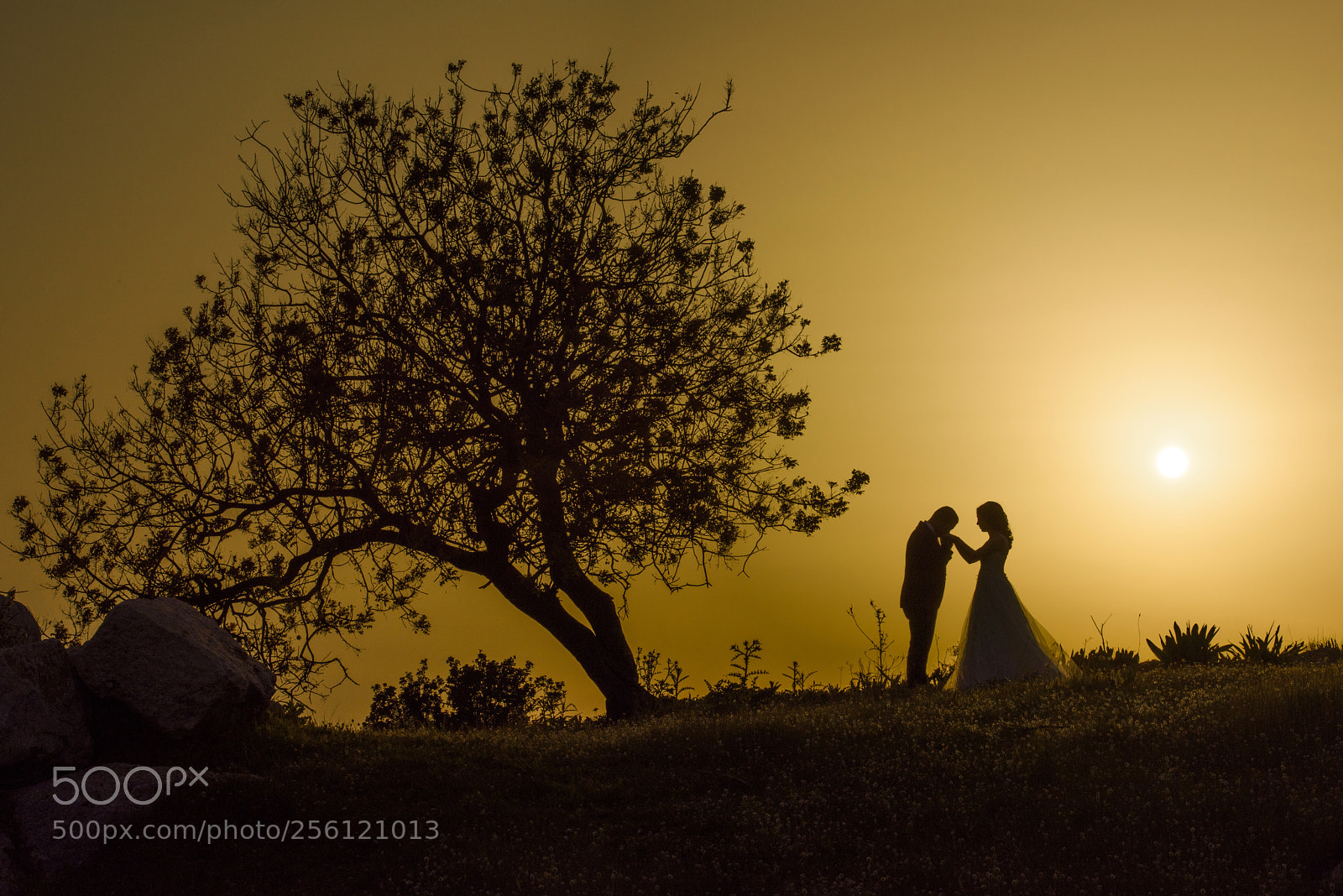 Nikon D810 sample photo. Sunset love ? photography