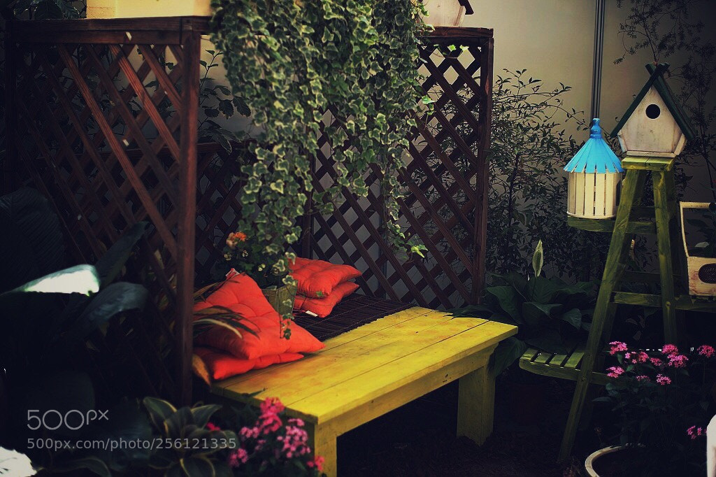 Canon EOS 5D Mark II sample photo. Untitled photography