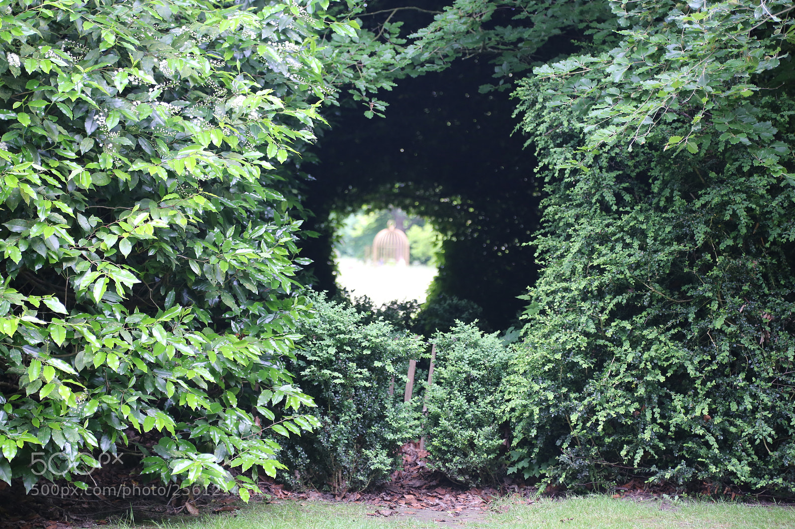 Canon EOS 6D + Canon EF 24-105mm F4L IS USM sample photo. Anglesey abbey, national trust photography