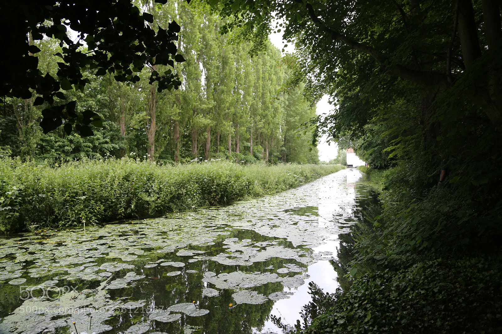 Canon EOS 6D + Canon EF 24-105mm F4L IS USM sample photo. Anglesey abbey, national trust photography