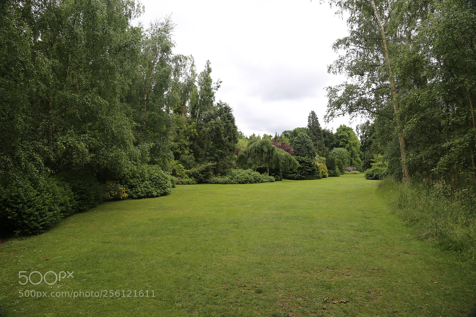 Canon EOS 6D + Canon EF 24-105mm F4L IS USM sample photo. Anglesey abbey, national trust photography
