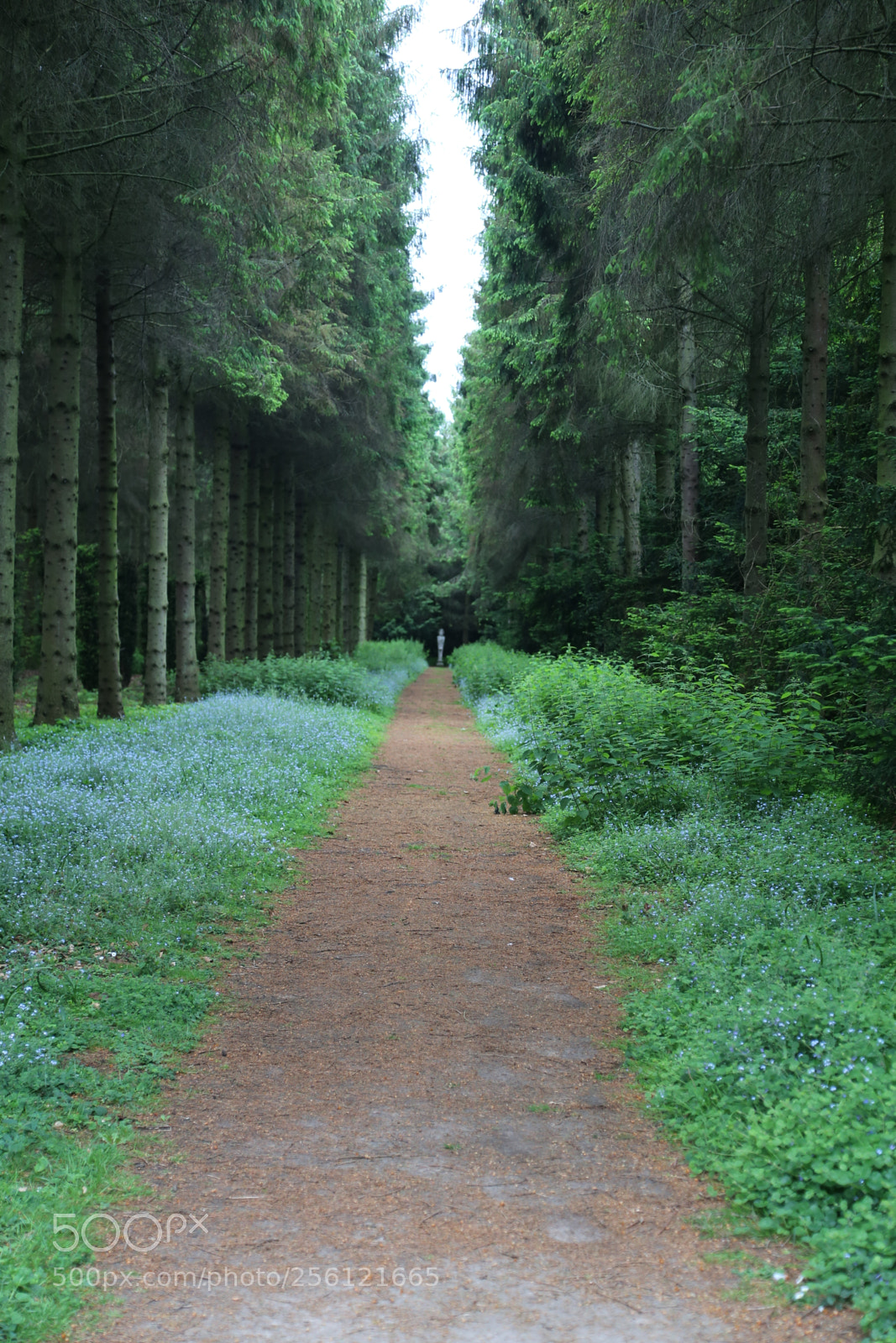 Canon EOS 6D + Canon EF 24-105mm F4L IS USM sample photo. Anglesey abbey, national trust photography