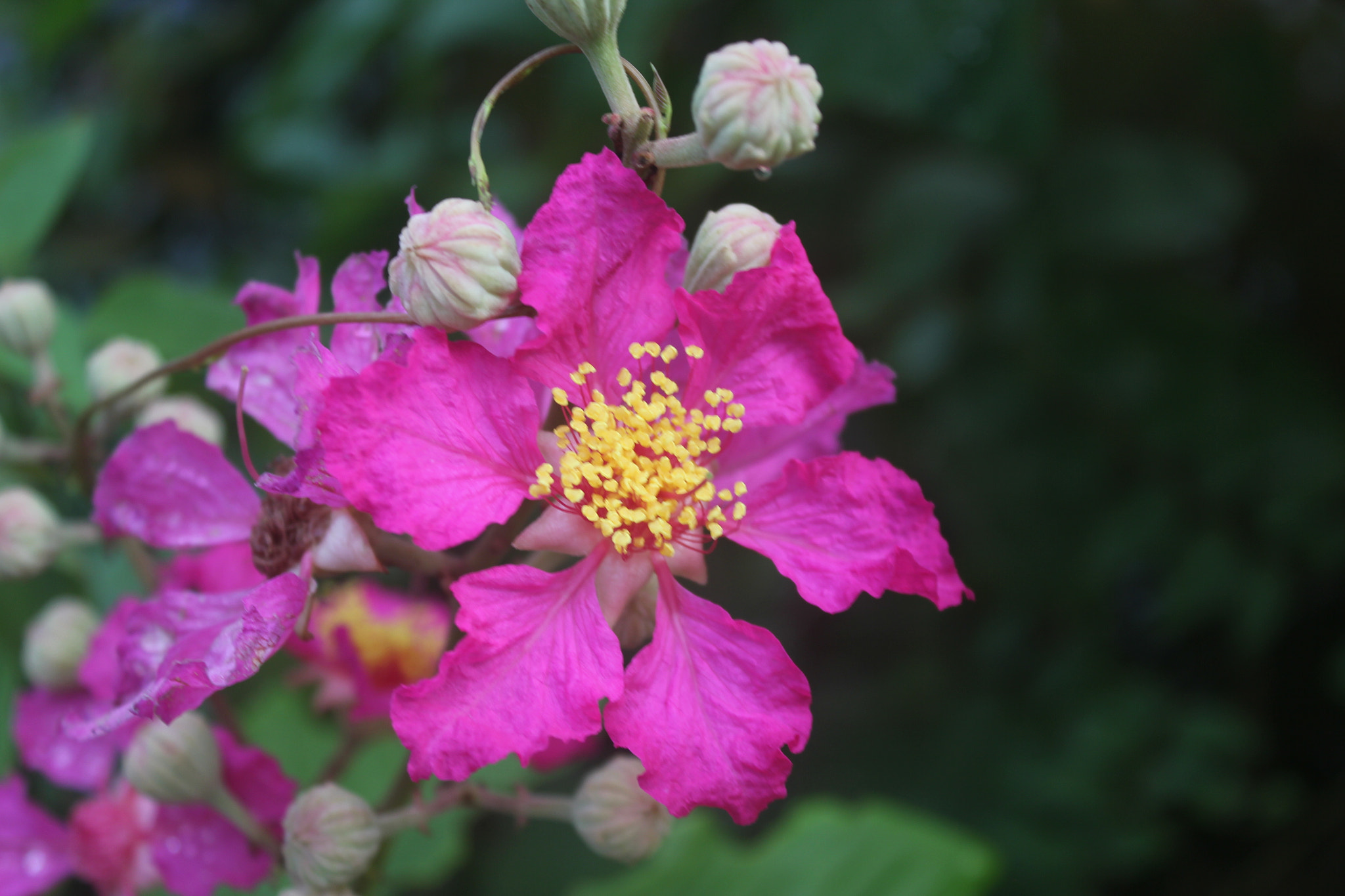 Canon EOS 550D (EOS Rebel T2i / EOS Kiss X4) sample photo. Riverside beauty photography